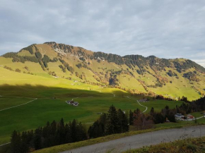 Gruppenhaus Lueg is Tal, Dallenwil